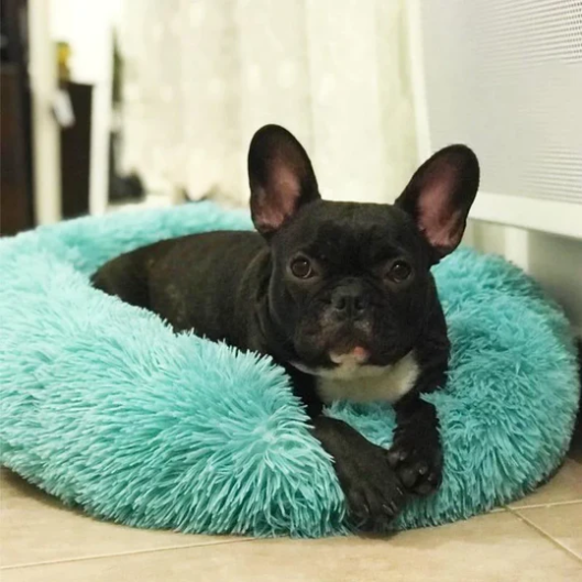 BunchkinsCuddler™ - World's #1 Soothing Pet Bed
